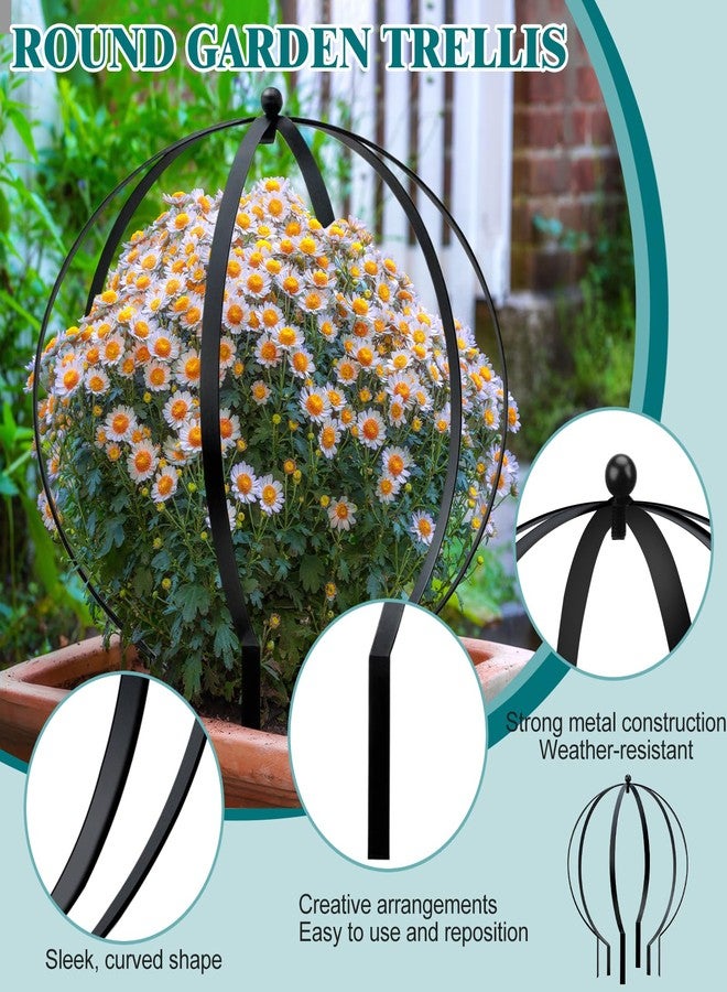 HEYTIMI 4Pcs Large Black Metal Round Circle Trellis Garden Obelisk Sculpture Globe Trellis for Climbing Plants Outdoor Potted Planter Decorative Metal Garden Ornament for Patio Doorway - Image 3