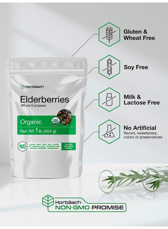 Horbäach Elderberries Dried Organic | 1 lb Bulk Bag | Whole European | Non-GMO, Gluten Free | Sambucus Nigra - Image 3