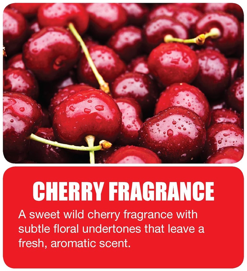 BIG D 657 Non-para Urinal Toss Block, Cherry Fragrance, 1000 Flushes (Pack of 12) - Ideal for restrooms in Offices, Schools, Restaurants, Hotels, Stores - Urinal Deodorizer Cake Mint Puck - Image 4