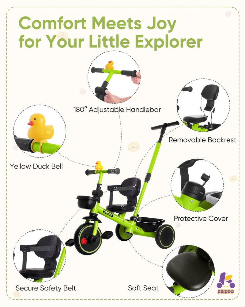 KRIDDO 2-in-1 Tricycle for Toddlers 1.5-5 Years, Push Tricycle with Parent Steering & Detachable Handle, 9-Stage Adjustable Handlebar, Toddler Trike with Safety Belt, Clutch Pedals & Dual Baskets, GN - Image 5