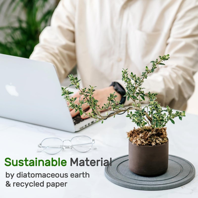 Relime Diatomaceous Earth Plant Saucer for Indoor, 2 Pack 8 inch, Instant Dry Pot Saucer, Plant Drip & Drainage Tray for Indoor, Stone Gray - Image 5