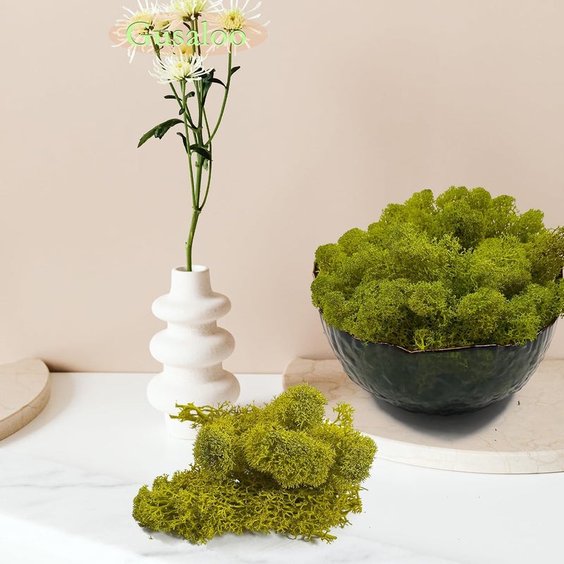 Gusaloo Preserved 1.1lb Moss Artificial Moss Natural Fresh Green Moss for Craft Handicraft Arts Floral Project Wall Decor Table Decor Wedding Centerpieces Garden Terrariums Decoration - Image 4