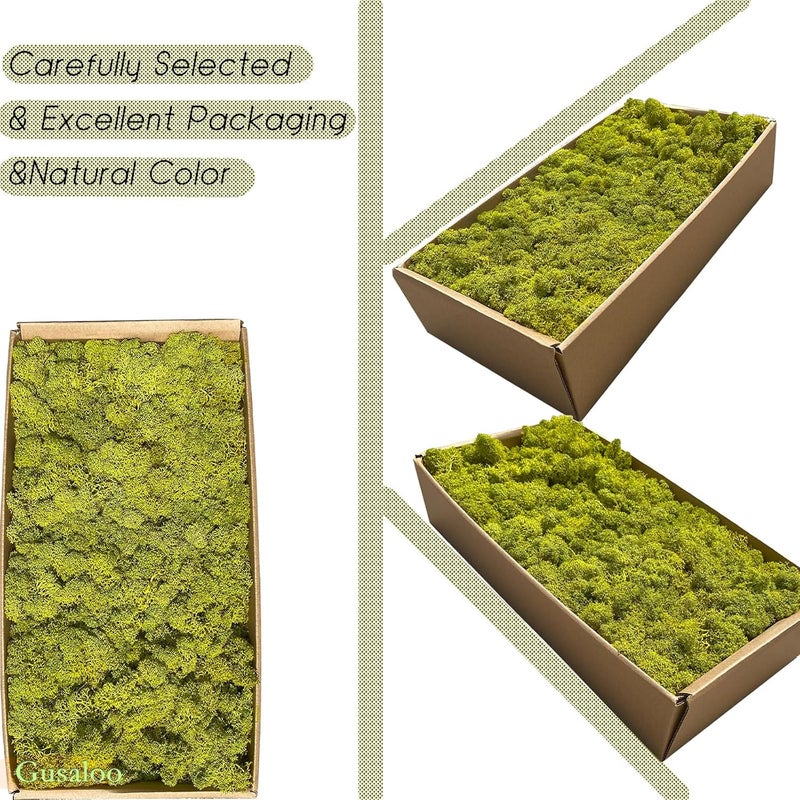 Gusaloo Preserved 1.1lb Moss Artificial Moss Natural Fresh Green Moss for Craft Handicraft Arts Floral Project Wall Decor Table Decor Wedding Centerpieces Garden Terrariums Decoration - Image 2