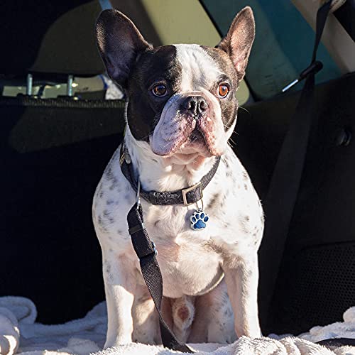 Junkin 100 Pieces Animal Paw Pendant Charm - Hollow Glitter Dog Cat Bead Alloy Colorful Cute Jewelry Making Supplies for DIY Necklace Bracelet Keychain Earring - Image 5