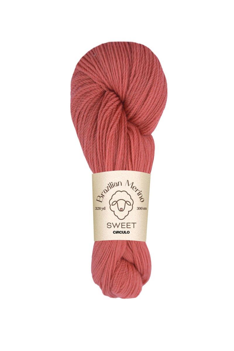 CIRCULO Sweet Merino Wool Yarn 100 Brazilian Merino Washable Soft Warm and Luxurious Perfect for Knitting Crochet DK 328yds 352oz 3022 Raspberry