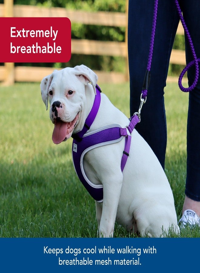 كوستال حزام صدر للكلاب قابل للتعديل من كوستال بيت كومفورت، ناعم وعاكس للضوء - حزام مانع للشد للكلاب الصغيرة والكبيرة - بنفسجي - 5/8 بوصة × 16-19 بوصة - Image 3