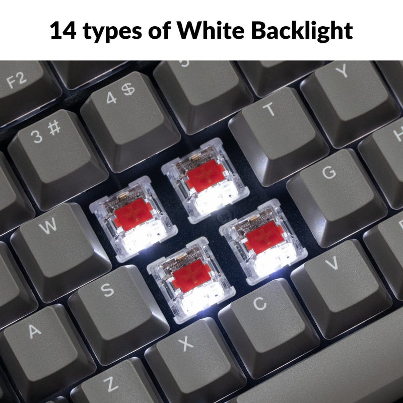 Keychron C2 Pro Wired Custom Mechanical Keyboard Full Size Layout QMK/VIA Programmable Macro White Backlit with Keychron K Pro Brown Switch OEM Profile Double-Shot PBT Keycaps for Mac Windows Linux - Image 3