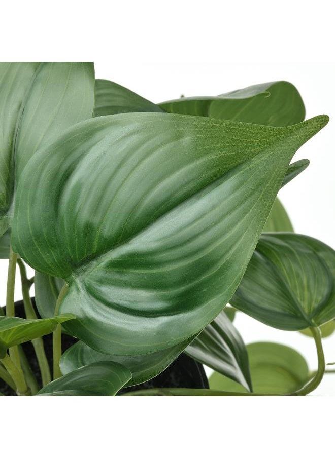 Zaboon Artificial Potted Plant, In/Outdoor Golden Pothos/Hanging, 12 Cm  - Image 3