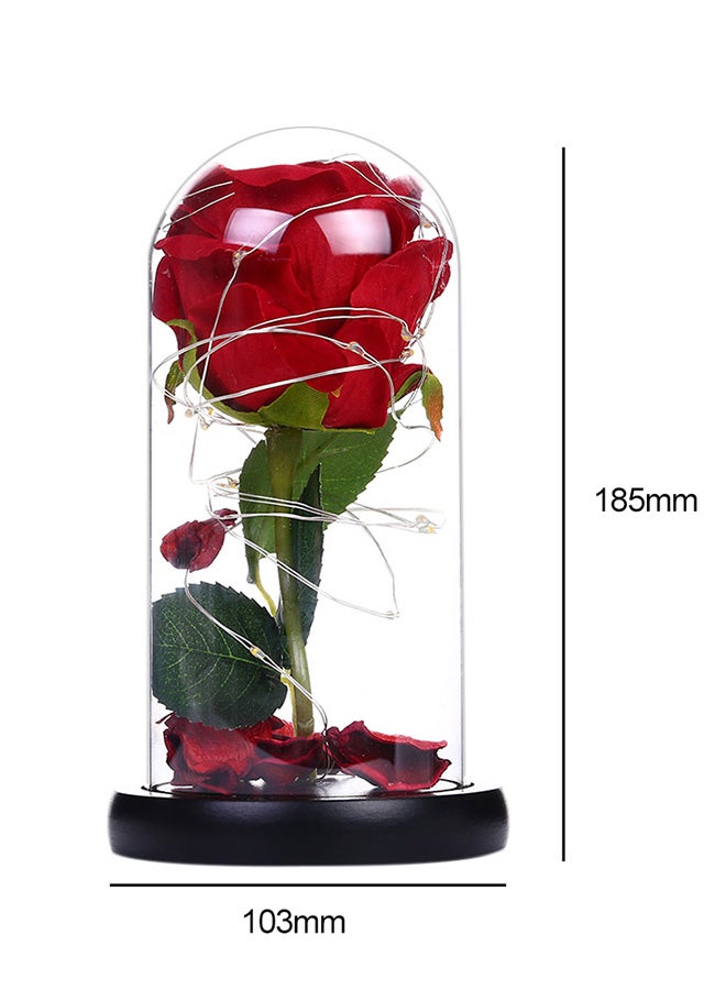 إسكدنيا وردة جميلة ومحفوظة ومزودة بإضاءة LED مع غطاء زجاجي - Image 4