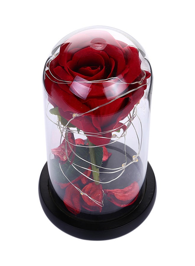 إسكدنيا وردة جميلة ومحفوظة ومزودة بإضاءة LED مع غطاء زجاجي - Image 2