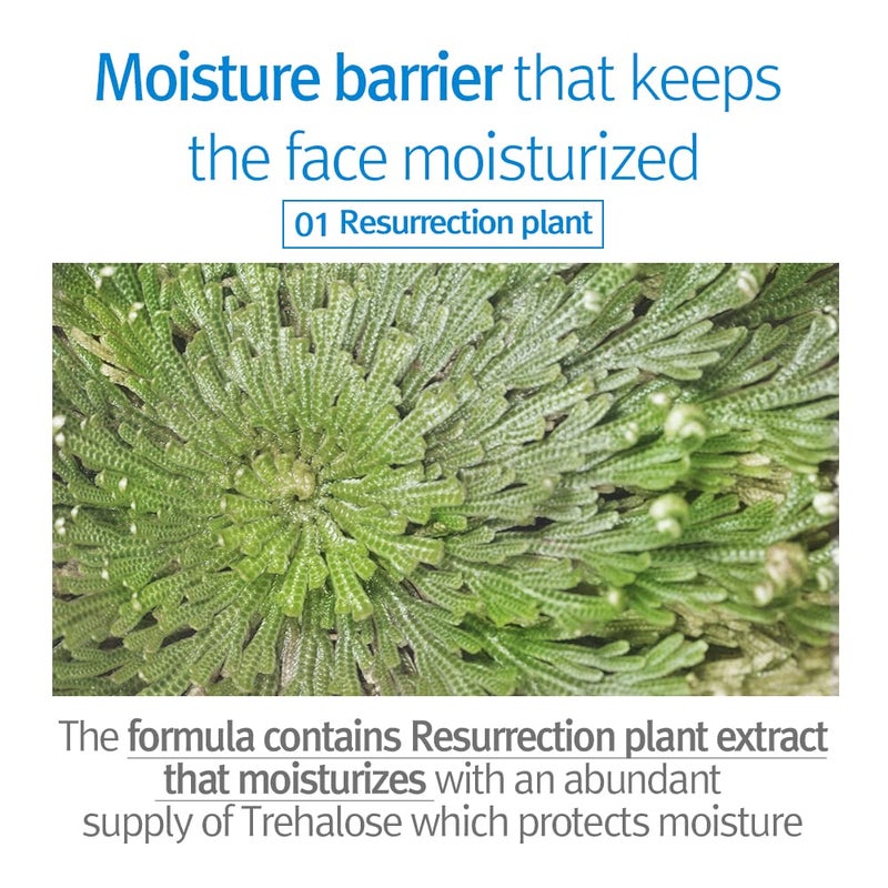 Pyunkang Yul لوشن مرطب للأطفال والرضع من بيونكانغ يول مع السيراميد، حمض الهيالورونيك، الليسيثين، سيكا، مهدئ، مرطب، كريم مرطب لجميع أنواع البشرة، خالي من العطور، 19.9 أونصة سائلة 590 مل. - Image 3