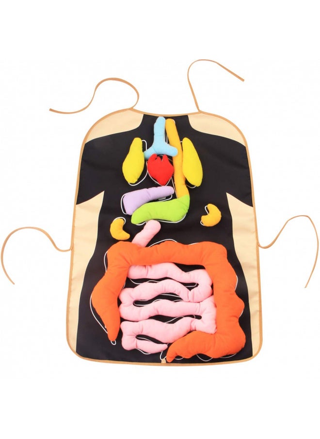 KAKIBLIN 3D Organ Apron, Anatomy Apron Human Body Organs Awareness Educational Toy for Home Preschool Teaching Aid, Black - pzsku/Z8F55D7ED7CA704B5F073Z/45/_/1732281877/34a83de6-d149-4e88-a9e1-bb9380e21e9e