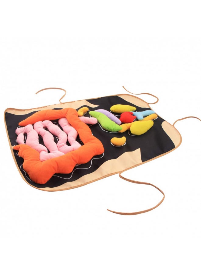 KAKIBLIN 3D Organ Apron, Anatomy Apron Human Body Organs Awareness Educational Toy for Home Preschool Teaching Aid, Black - pzsku/Z8F55D7ED7CA704B5F073Z/45/_/1732281881/0504b86c-411e-4165-92e8-808f5bf9e250