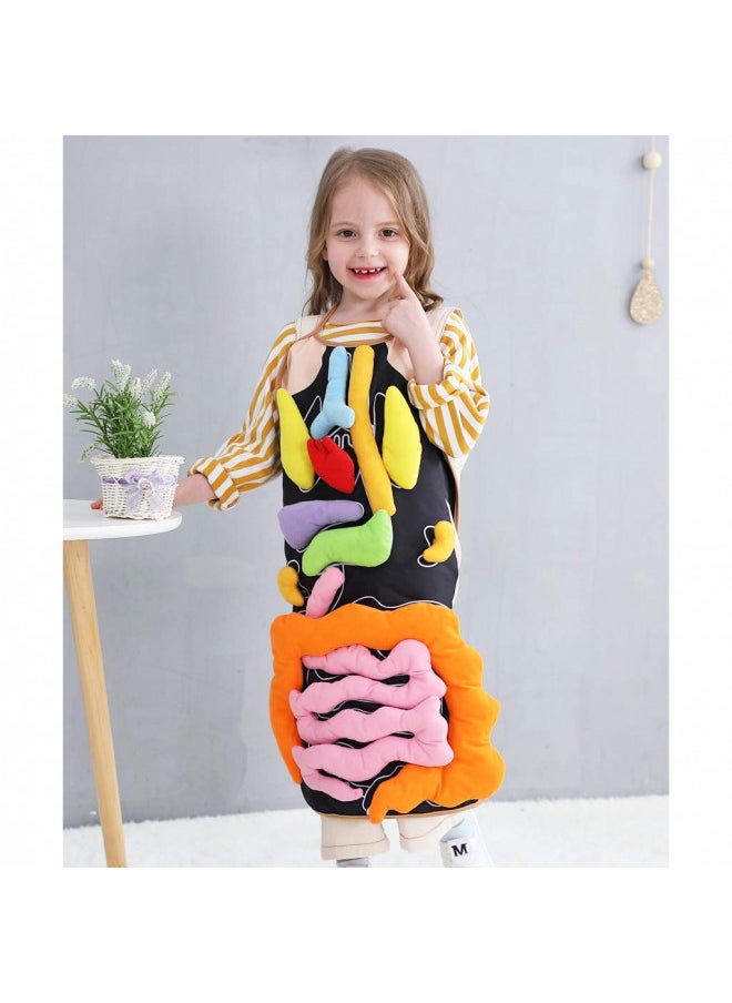 KAKIBLIN 3D Organ Apron, Anatomy Apron Human Body Organs Awareness Educational Toy for Home Preschool Teaching Aid, Black - pzsku/Z8F55D7ED7CA704B5F073Z/45/_/1732281883/7696cf3c-e0a0-4d9b-b8ea-f5341020f664