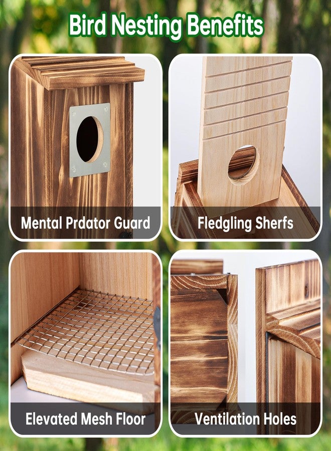 UUMENHA 2 Pack Bird Houses for Outside with Metal Predator Guard for Bluebird Wren Swallow Finch, Carbonized Wooden Nesting Boxes for Outdoor, Sturdy Bird House,Easy to Clean - Image 4