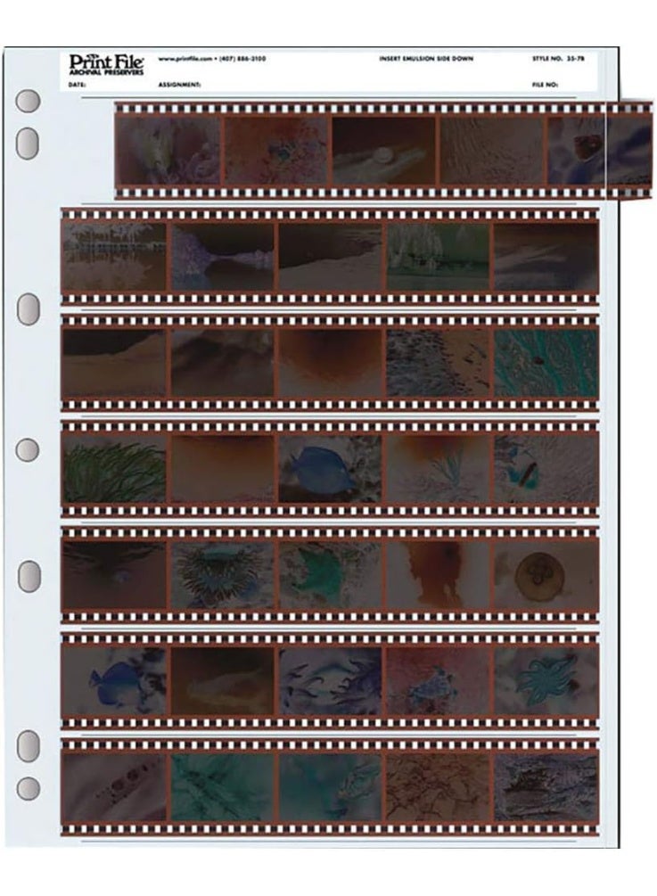 Print File Archival 35mm Size Negative Pages Holds Seven Strips of Five Frames - 100 Pack 