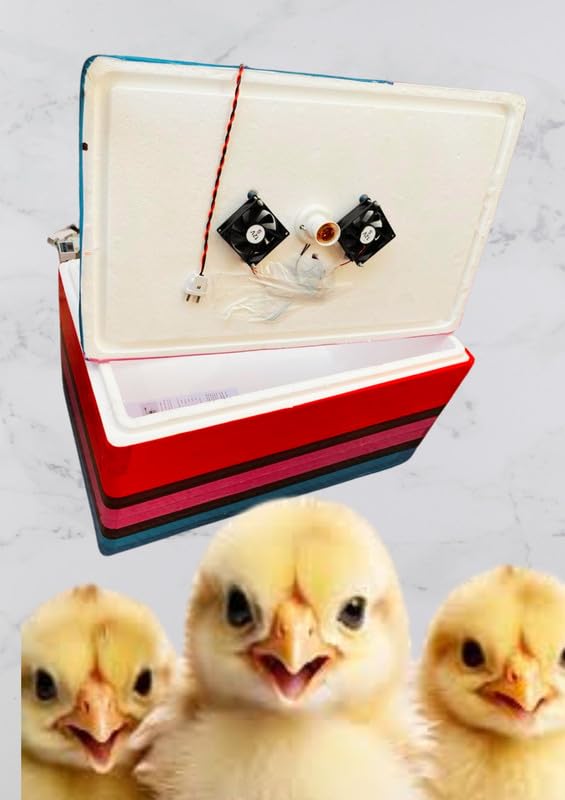 TMW TM&W-100 Egg Capacity Semi, Egg Incubator with W3001 contrller - Image 2