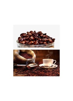 Coffee grinder, spices and dry fruits 55g, 180watt - pzsku/Z8F5924CE4E1C8A4548D8Z/45/_/1717421146/b3c4fce4-f973-4e58-a55c-9d7deac39919