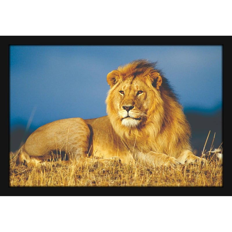 Mad Masters Mad Masters Lion Wild Animal Painting Aesthetic Hanging Photo Frame Decorative Item Home Decoration and Wall Decor for Living Room and Bedroom MM 2416 8x12 Inch Canvas With Plexi Glass  - Image 1