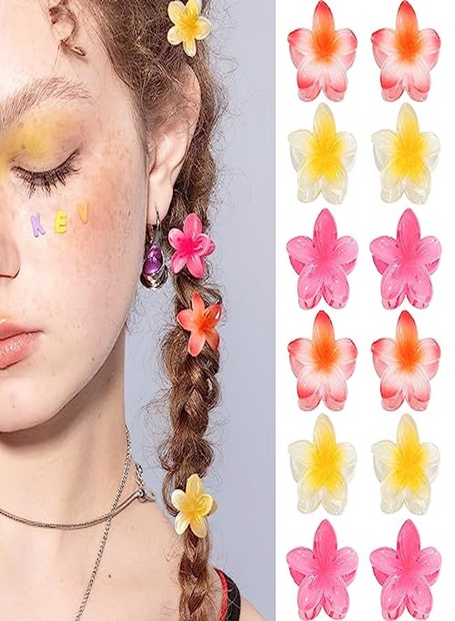 CHIROGRAPHY 6 Pcs Colorful Clear Flower Hair Claw Clips | Small Hawaiian Style Hair Clips for Thick and Thin Hair | Stylish Plastic Hairs Clamps for Women and Girl | Fashion Hairs Accessories Gift Set - Image 2