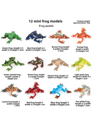 Simulation Marine Life Model Deep Sea Fish Group Toy Suit Megalodon Black-tip Shark Squid Whale Shark Swordfish-Colour:Kz Mini Qingwa 6 Models + Yb Mini Frog 6 Models (12 Sets) - pzsku/Z8F5D5AB7CD02E6610546Z/45/1745920078/25f0efe8-d3dc-4d1a-9558-c70a857236c6