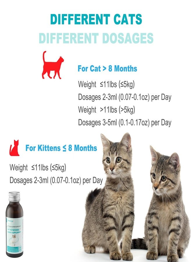 MARIMER Cat Immune Support Supplement, Nutritional Liquid with L-Lysine and Astragalus, Enhances Immunity and Relieves Herpes Symptoms, 3.38oz (100ml) for Cats of All Ages - Image 4