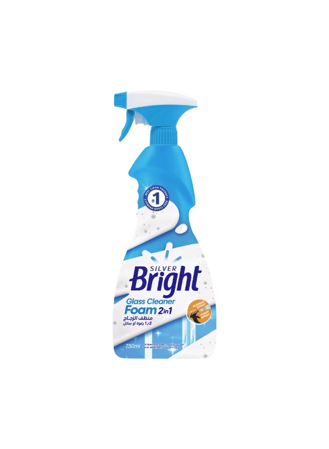 SB GLASS CLEANER FOAM 2 IN 1-750ML