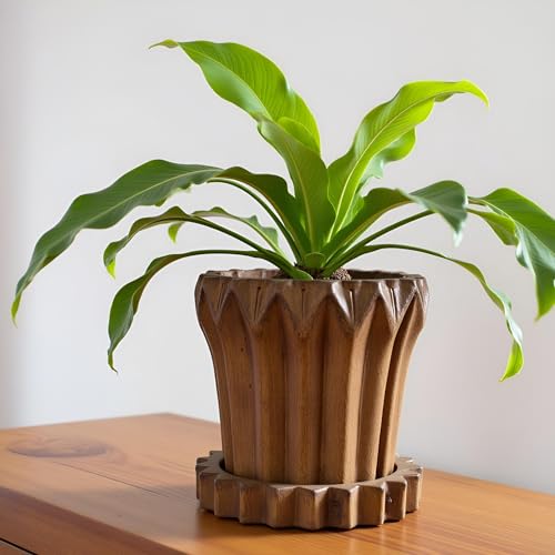 Lasaki Flory Antique with Tray Celty Antique Ceramic Pots with Tray | Flower Planter for Indoor & Outdoor Plants | Pots for Balcony, Home, Garden & Office (Pot_H-14 X D-15 Cm & Plate_H-2.5xD-14.5cm) - Image 1