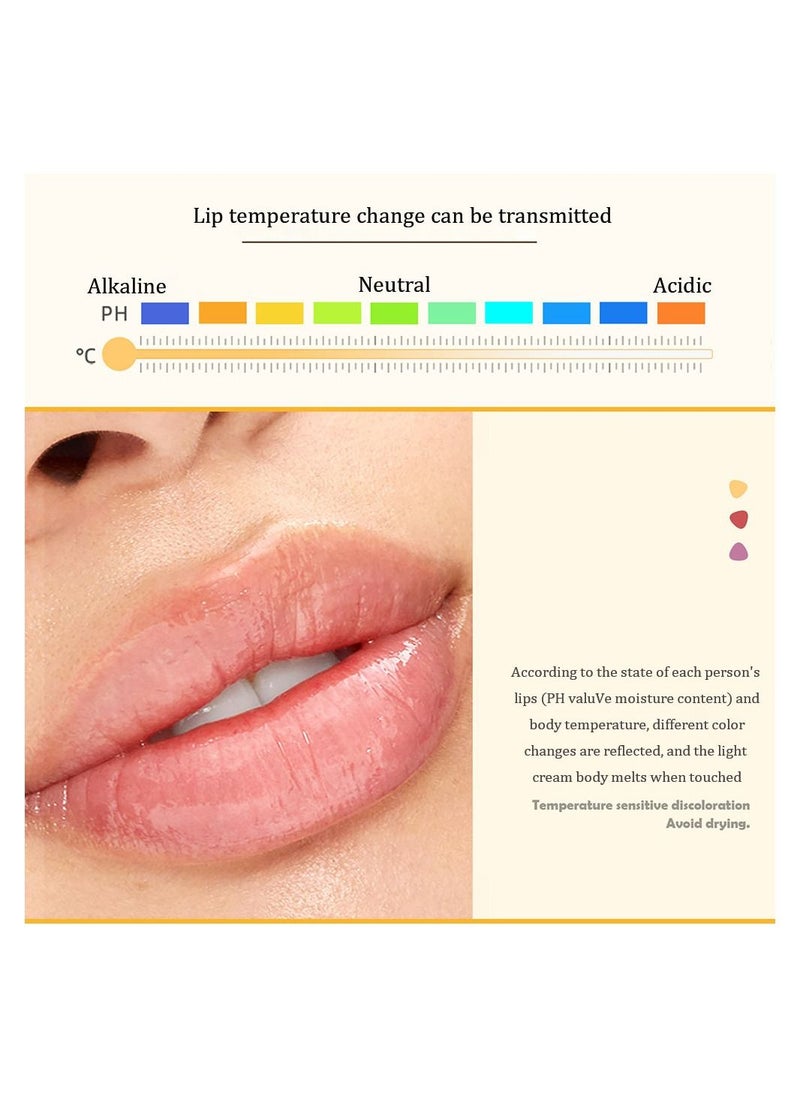 Triangle Cheese Tinted Lip Balm