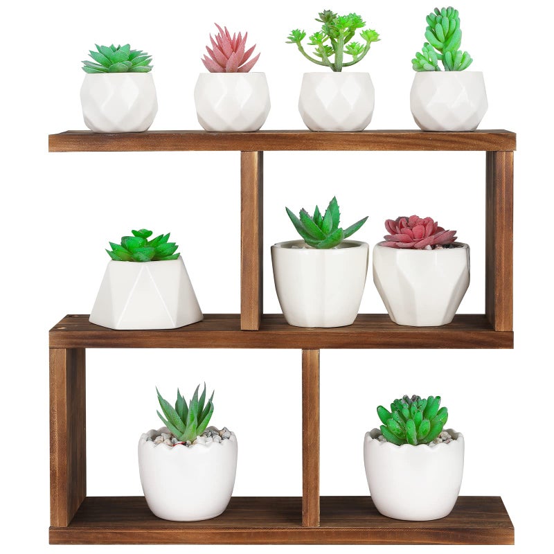 Jotsport Window Sill Plant Stand Small Wood Plant Shelf for Succulents 3 Tier Tabletop Desktop Plant Dislay Rack - Image 1