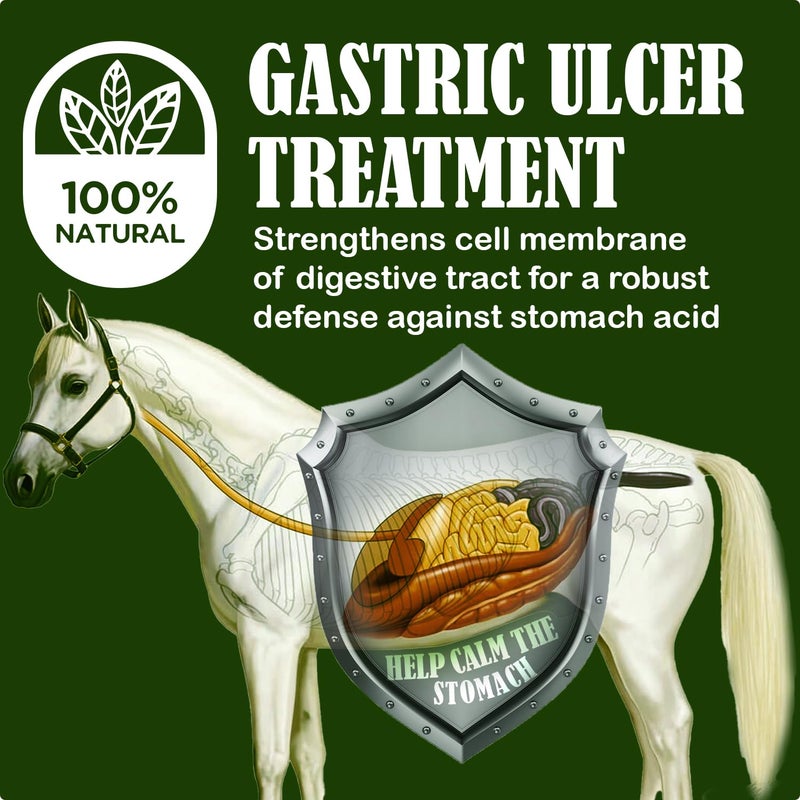SBS Equine Starting Gate Granules - Horse Stomach Ulcer Treatment & Ulcer Relief, Horse Supplement Formula Scoop for Feed, Perfect Prep as a Hair, Skin & Hoof Supplement (1.1 Gallon) - Image 3