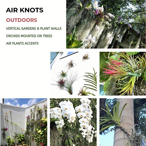 ArtAK Wall Planter Set of 5. Air Plant Holder Orchid Mount Plant Hook | Air Knots S5 - Image 5