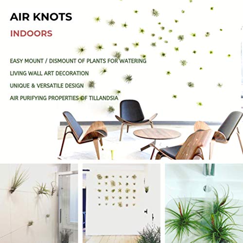 ArtAK Wall Planter Set of 5. Air Plant Holder Orchid Mount Plant Hook | Air Knots S5 - Image 4