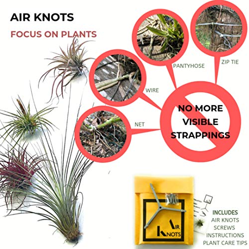 ArtAK Wall Planter Set of 5. Air Plant Holder Orchid Mount Plant Hook | Air Knots S5 - Image 3