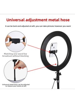 General Live Fill Light Led Ring Light 10-inch 26cm Bracket Light USB Rechargeable Stall Live Night Market Lighting-Specifications:16CM Lamp Ring + PTZ + Desktop Bracket  - Image 2