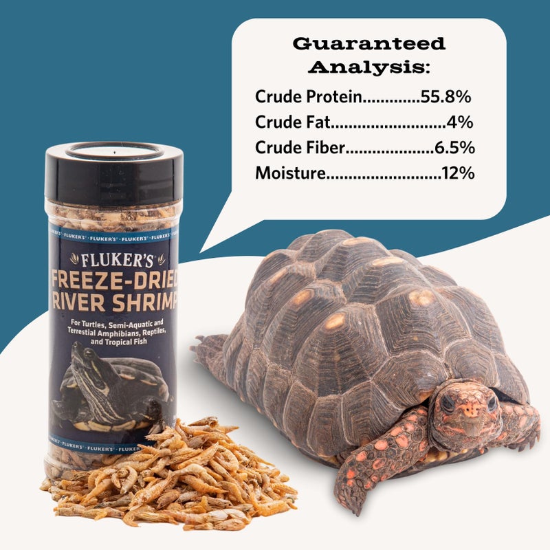 Fluker's Freeze Dried Insects - 1oz - River Shrimp, Turtle Shrimp, Shrimp Turtle Food, Nutrient-Rich Shrimp for Turtles, Suitable for Reptiles, Birds, Tropical Fish, Hedgehogs, Sugar Gliders - Image 2