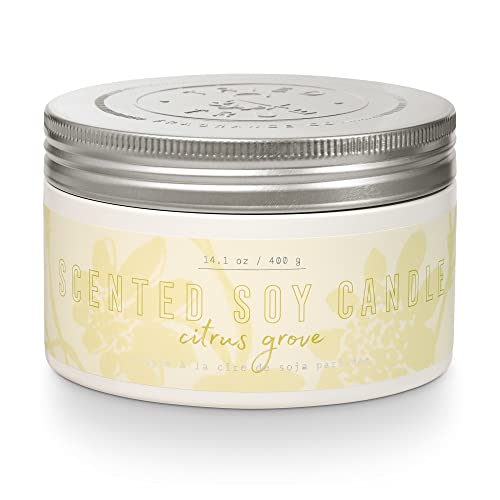 Illume Illume Tried & True Large Tin, Citrus Grove  - Image 2