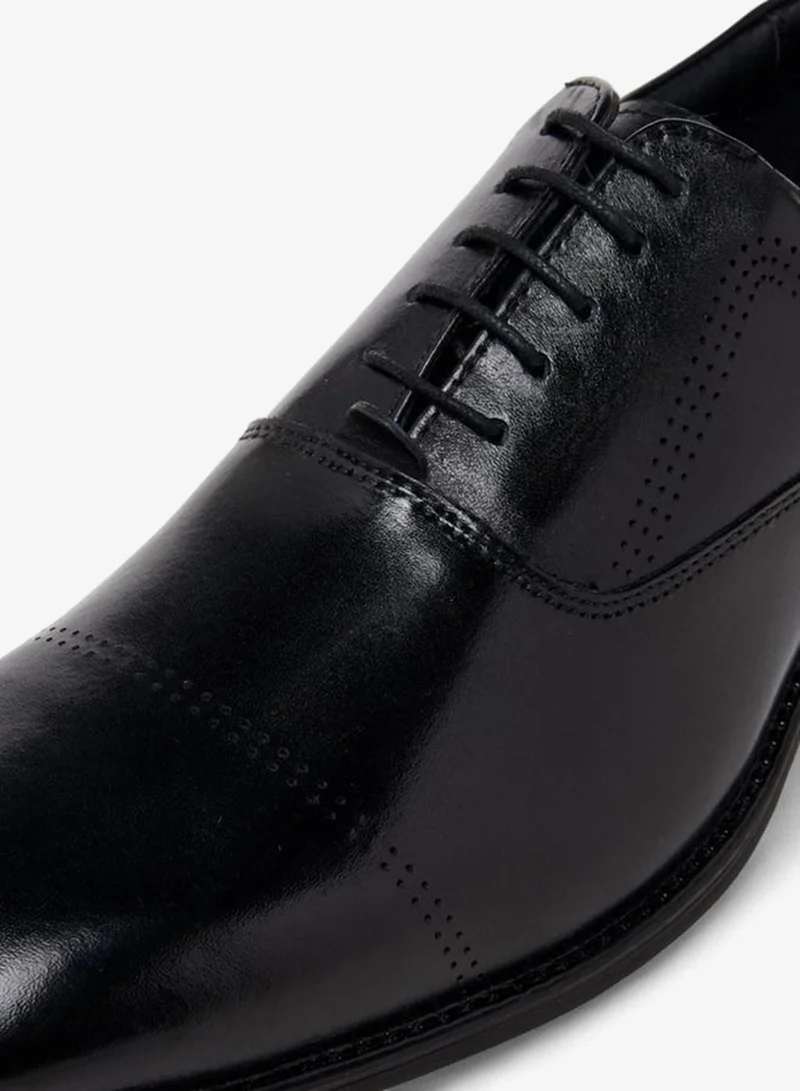 DUCHINI Black Men Lace-Up Leather Derby Shoes for Men | Best Price UAE