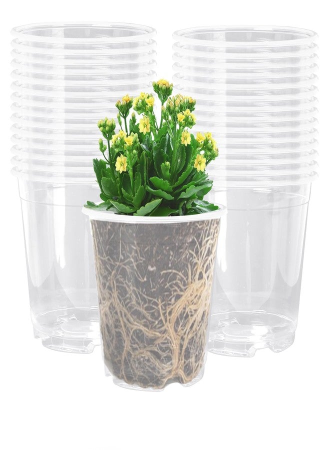 Oubest 5 Inch Clear Nursery Pots PP Seedling Pots for Plants 30Pcs Transparent Orchid Potting Pots with Drainage Holes Indoor Outdoor Flower Pots Seedlings Succulent Vegetable Herb - Image 1