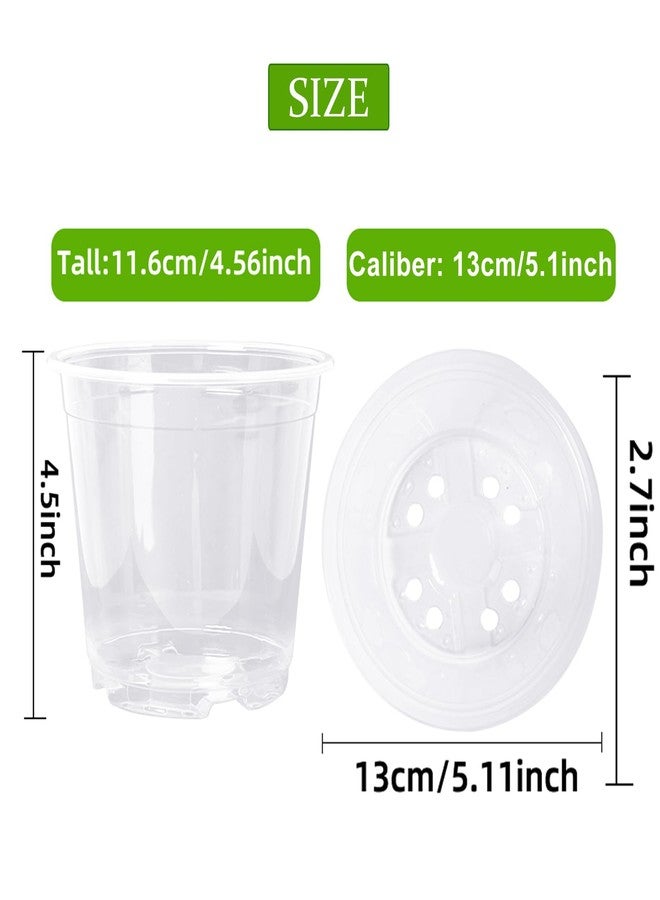 Oubest 5 Inch Clear Nursery Pots PP Seedling Pots for Plants 30Pcs Transparent Orchid Potting Pots with Drainage Holes Indoor Outdoor Flower Pots Seedlings Succulent Vegetable Herb - Image 2