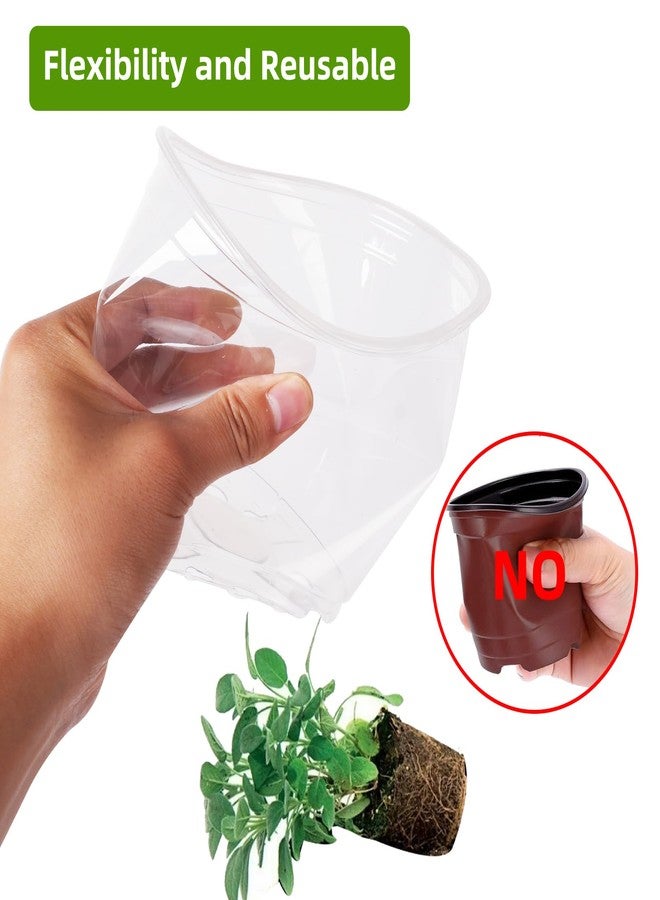 Oubest 5 Inch Clear Nursery Pots PP Seedling Pots for Plants 30Pcs Transparent Orchid Potting Pots with Drainage Holes Indoor Outdoor Flower Pots Seedlings Succulent Vegetable Herb - Image 3