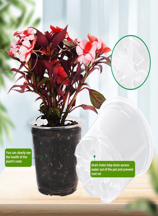 Oubest 5 Inch Clear Nursery Pots PP Seedling Pots for Plants 30Pcs Transparent Orchid Potting Pots with Drainage Holes Indoor Outdoor Flower Pots Seedlings Succulent Vegetable Herb - Image 4