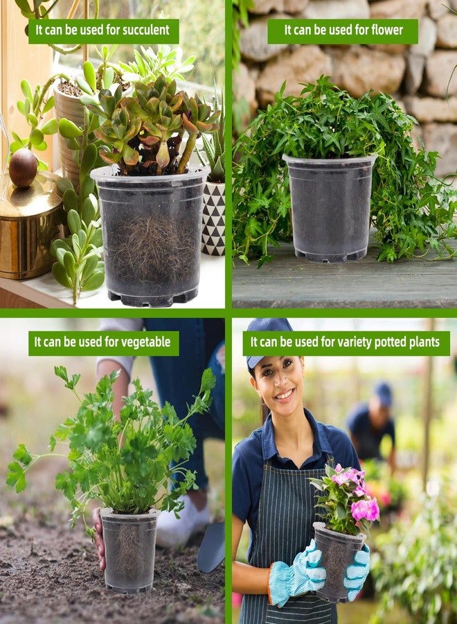 Oubest 5 Inch Clear Nursery Pots PP Seedling Pots for Plants 30Pcs Transparent Orchid Potting Pots with Drainage Holes Indoor Outdoor Flower Pots Seedlings Succulent Vegetable Herb - Image 5