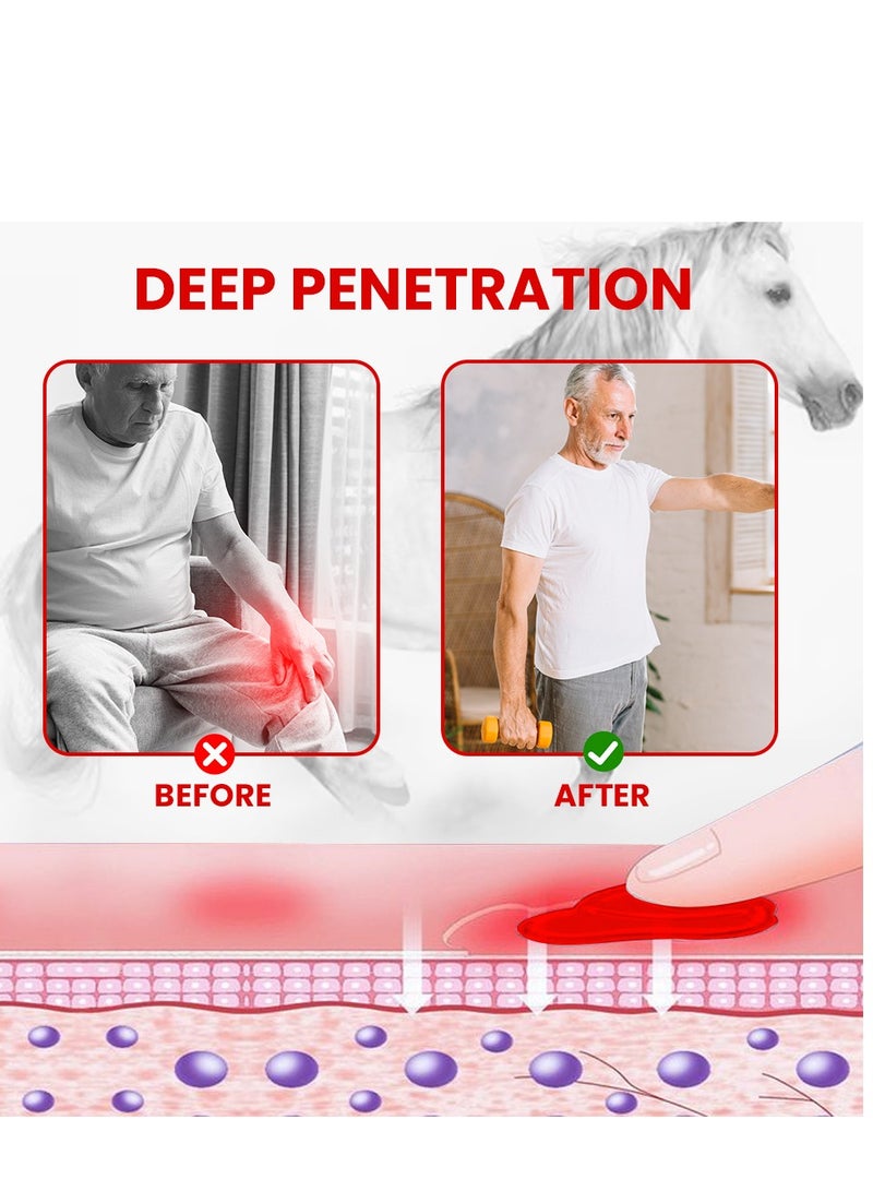 Sumifun Horse Chestnut Cream, Shoulder ,Back ,Arthritis,Neck,Muscle ,Knee Pain relief recovery, joint protection 80g - Image 3