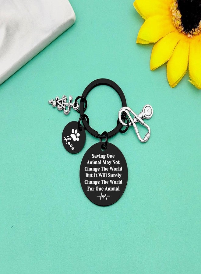 Baipilu 12PCS Vet Tech Appreciation Keychain Veterinary Technician Thank You Gift Appreciation Gifts for Veterinary Tech Nurse Assistant Coworker Animal Rescue Vet Student Friends Graduation Birthday Gift - Image 5