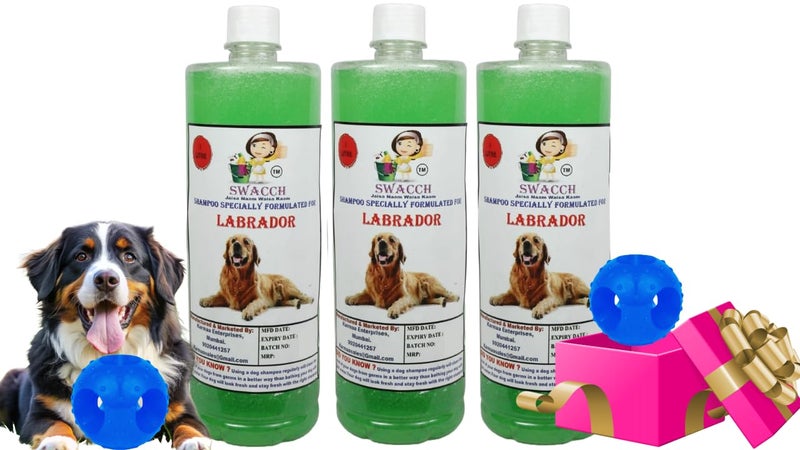 swacch Pet Shampoo | Puppy Safe Shampoo | PH Balanced | Ditch to Itch for Labrador Dog Shampoo 3 Litre (Neem Alovera) + Goofy Ball Chew Toy Combo Pack - Image 1