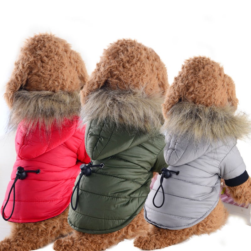 Pet Winter Down Coat Warm Dog Clothes Two-Feet Hoodies Fashion Apparel Pet Supplies for Small and Medium Size Size - Image 5