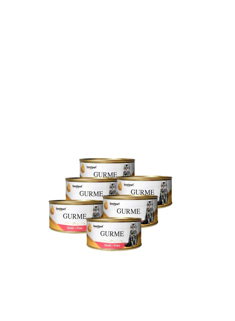 بيست بت بست بِت جورمي قطع أكل رطب بالسلمون في الجيلي للقطط البالغة 100 جم 6علب