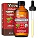 Yoken Rosehip Seed Oil for Face, 100% Pure and Natural Cold Pressed Unrefined Organic Rosehip Carrier Oil for Skin, Hair, Body & Nails - Lightweight, Fast-Absorbing (4 fl oz) - Image 2