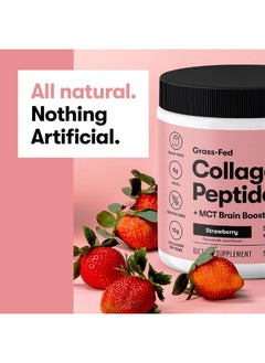 Perfect Keto Collagen Protein Powder with MCT Oil - Grassfed, GF, Multi Supplement, Best for Ketogenic Diets, Use as Keto Creamer, in Coffee and Shakes for Women & Men (Cinnamon Toast)  - Image 4